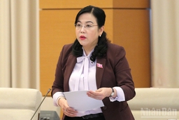 Ủy ban Thường vụ Quốc hội chỉ định Chủ tịch, các Phó Chủ tịch Hội đồng nhân dân cấp tỉnh sau sắp xếp
