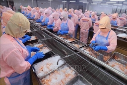 Mỹ công bố kết quả sơ bộ về thuế chống bán phá giá với tôm Việt