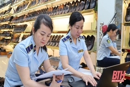 117 vụ vi phạm trong cao điểm kiểm tra, xử lý buôn lậu, gian lận thương mại và hàng giả, xâm phạm quyền sở hữu trí tuệ