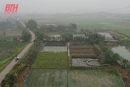 Cơ chế riêng để cán đích huyện nông thôn mới nâng cao