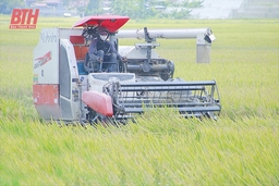 Nông nghiệp thời công nghệ số