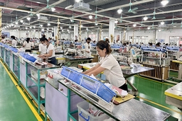 Phát huy vai trò của nữ công nhân, viên chức, lao động trong các phong trào thi đua