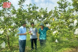 Dấu ấn 10 năm học và làm theo Bác ở Nông Cống