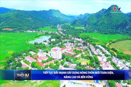 Bản tin Thời sự tối 11/6/2025