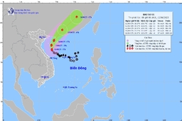 Dự báo ngày 15/6, bão số 1 suy yếu thành áp thấp nhiệt đới