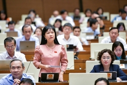 Trình đề án sáp nhập đơn vị hành chính cấp tỉnh