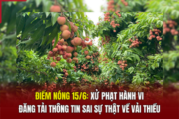Điểm nóng 15/6: “Giải oan” cho vải thiều
