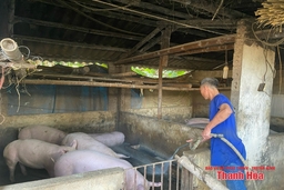 Bảo đảm an toàn cho đàn vật nuôi mùa nắng nóng