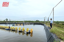 Bảo vệ diện tích nuôi trồng thủy sản mùa nắng nóng