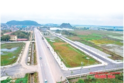 Đất đấu giá tăng cao: Nhu cầu thị trường hay “cò” thổi giá”?