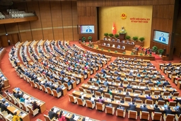 Sáng nay (19/6), Quốc hội tiến hành phiên chất vấn và trả lời chất vấn