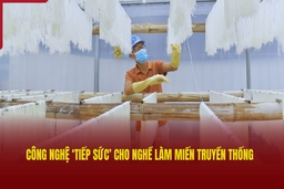 Công nghệ “tiếp sức” cho nghề làm miến truyền thống
