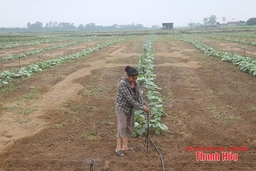 Nâng cao thu nhập cho người dân nông thôn