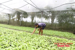 Từ nhu cầu đến thị trường: Khi thực phẩm an toàn thành xu thế