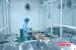 4 năm DDCI Thanh Hóa: Chuẩn bị cho bước chuyển mới