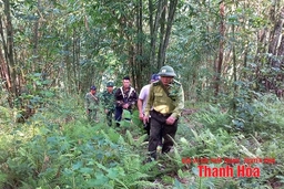 Tổ, đội quần chúng tham gia bảo vệ rừng