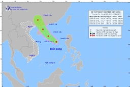 Xuất hiện áp thấp nhiệt đới trên Biển Đông