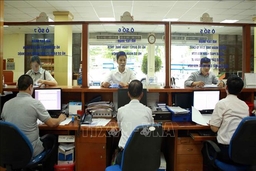 Tạm dừng việc ban hành quyết định kiểm tra thuế