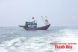 Chủ động ứng phó với áp thấp nhiệt đới và gió mạnh trên biển