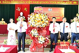 Đại hội Đảng bộ Ban Quản lý Dự án Đầu tư xây dựng các công trình dân dụng và công nghiệp Thanh Hóa