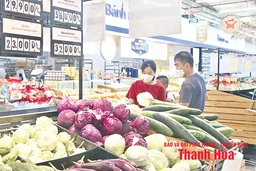 Cuộc đua mở rộng thị trường bán lẻ giữa hàng nội và ngoại