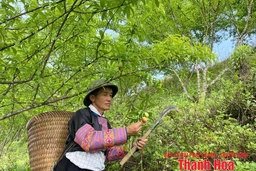“Điểm tựa” cho người dân biên giới