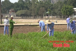 Nâng cao hiệu quả cai nghiện ma túy