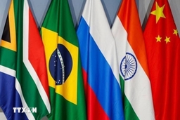 Brazil huy động tới 20.000 binh sỹ bảo đảm an ninh cho Hội nghị BRICS