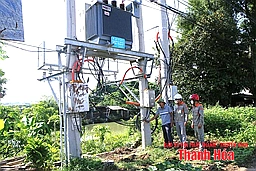 Nhân rộng mô hình HTX nông nghiệp “đa-zi-năng”