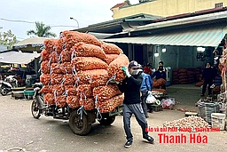 Phía sau những bước chân hối hả mưu sinh