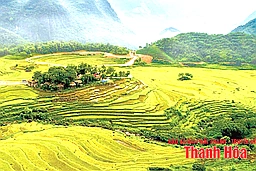 Du lịch Thanh Hóa: “Vươn mình” mạnh mẽ trên bản đồ du lịch quốc gia