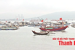 “Văn hóa dân gian biển, đảo xứ Thanh như chất men say ngấm vào đời tôi”...