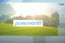 Dự báo thời tiết 19h ngày 6/7/2025