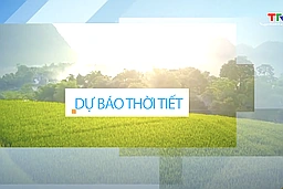 Dự báo thời tiết 19h ngày 4/7/2025