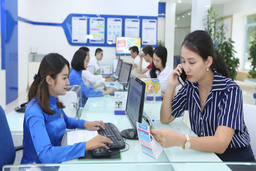 Triển khai thông tư 09 của Bộ Khoa học và Công nghệ về quy định điều kiện, thủ tục chuyển mạng