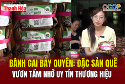 [REVIEW OCOP] Bánh gai Bảy Quyên: Đặc sản quê vươn tầm nhờ uy tín thương hiệu