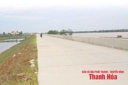 Khẩn trương thi công công trình đê điều phòng, chống thiên tai