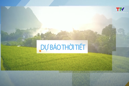 Dự báo thời tiết đêm 7 ngày 8/7/2025