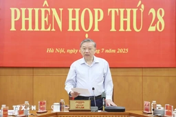 Tổng Bí thư: Kịp thời phát hiện, xử lý các sai phạm liên quan đến sắp xếp bộ máy