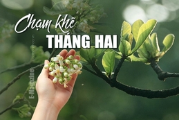 [E-Magazine] - Chạm khẽ tháng hai