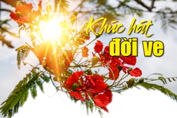 [E - Magazine] - Khúc hát đời ve
