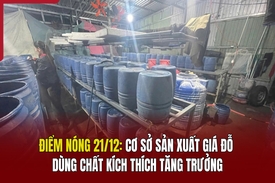 Điểm nóng 21/12: Cơ sở sản xuất giá đỗ dùng chất kích thích tăng trưởng