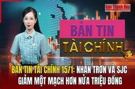 Bản tin Tài chính 15/1: Nhẫn trơn và SJC giảm một mạch hơn nửa triệu đồng