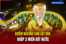 [Bản tin 18h] Chiêm ngưỡng linh vật rắn khắp 3 miền