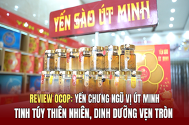 [REVIEW OCOP] Yến chưng ngũ vị Út Minh: Tinh túy thiên nhiên, dinh dưỡng vẹn tròn