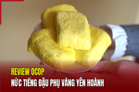 [REVIEW OCOP] - Nức tiếng đậu phụ vàng Yên Hoành