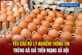 [Bản tin 18h] Yêu cầu xử lý nghiêm thông tin trứng gà giả trên MXH