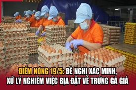 Điểm nóng 19/5: Đề nghị xác minh, xử lý nghiêm việc bịa đặt về trứng gà giả