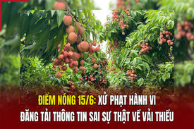 Điểm m88 trang chủ 15/6: “Giải oan” cho vải thiều