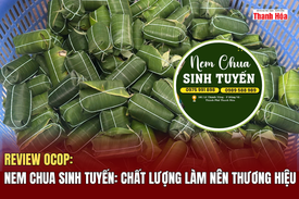 [REVIEW OCOP] Nem chua Sinh Tuyến: Chất lượng làm nên thương hiệu